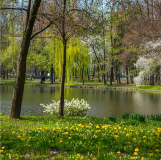 نمونه عکس واقعی 1