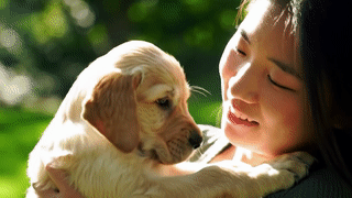 Un chiot dans les bras d&#39;une jeune fille.